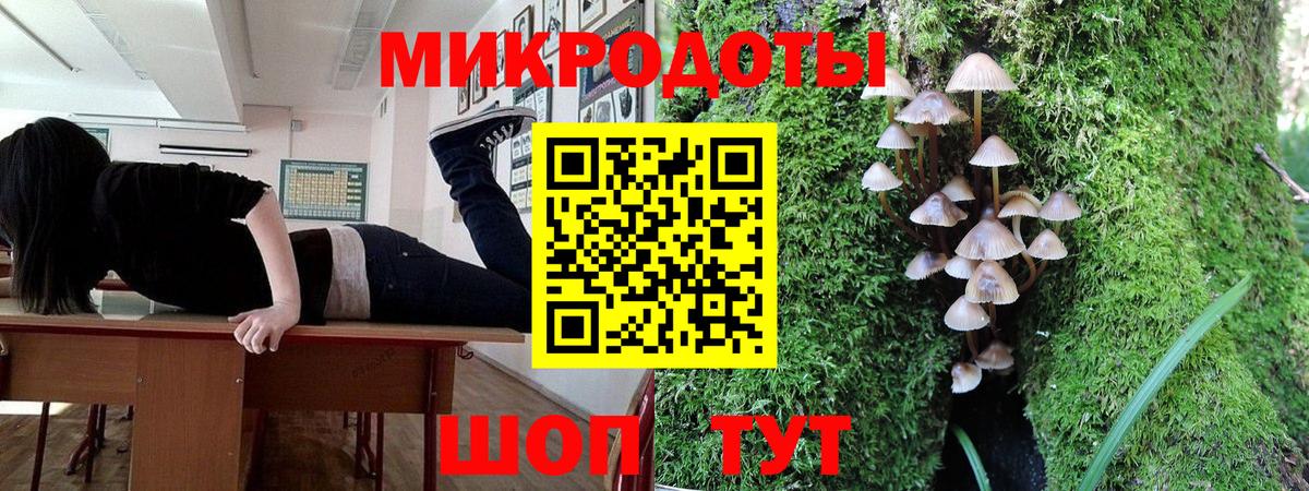 Галлюциногенные грибы прущие грибы Владивосток